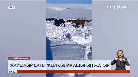 Марқакөлдегі қар құрсауында қалған Ұранқай ауылына жол ашылды