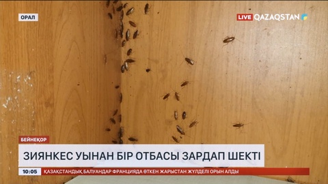 Оралда зиянкес уынан бір отбасы зардап шекті