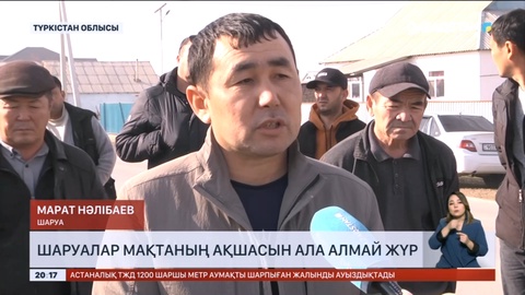 Жетісайда 200-ге тарта шаруа мақтаның ақшасын ала алмай жүр
