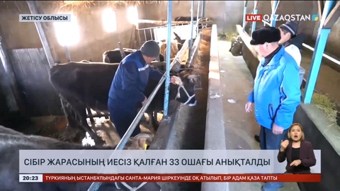 Жетісу облысында Cібір жарасының иесіз қалған 33 ошағы анықталды