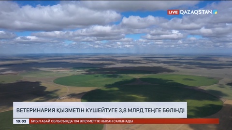 Еліміздегі ветеринариялық қызметті күшейтуге 3,8 млрд теңге бөлінді