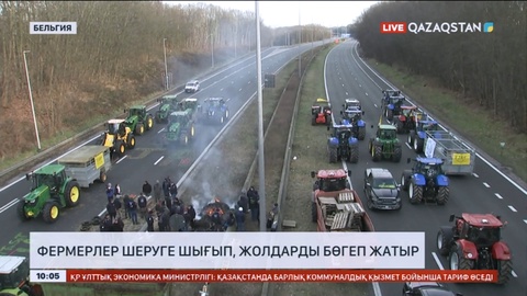 Бельгиялық фермерлер шеруге шығып, жолдарды бөгеп жатыр