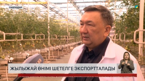 Еліміздегі жылыжай өнімі шетелге экспортталады