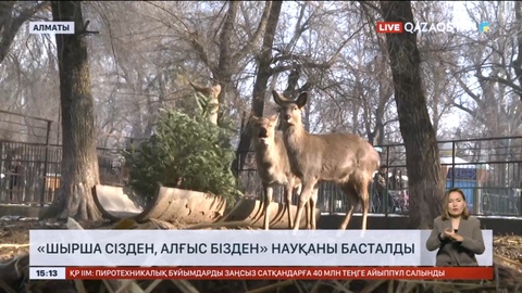 «Шырша сізден, алғыс бізден» науқаны басталды