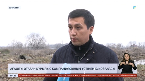 Алматыда ағашты отаған құрылыс компаниясының үстінен іс қозғалды
