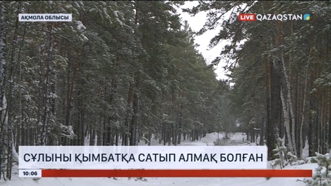 Ақмола облысында сұлыны қымбат бағада сатып алмақ болған