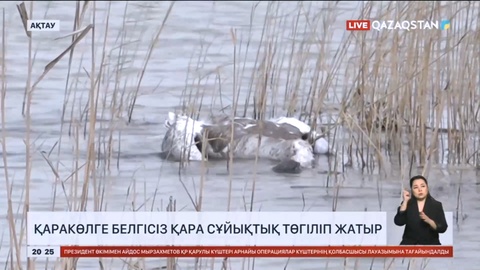 Маңғыстауда Қаракөлге белгісіз қара сұйықтық төгіліп жатыр
