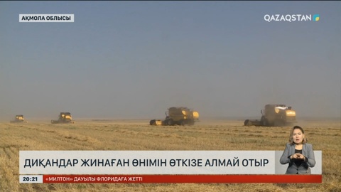 Ақмола облысында диқандар жинаған өнімін өткізе алмай отыр