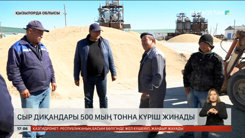 Сыр диқандары 500 мың тонна күріш жинады