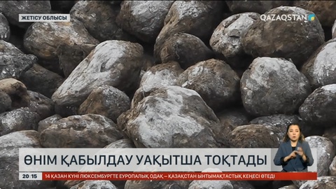 Жетісу облысындағы Көксу қант зауыты өнім қабылдауды уақытша тоқтатты