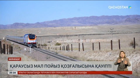 Темір жолдың бойында қараусыз жүрген үй жануарлары пойыз қозғалысына қауіп төндіріп тұр