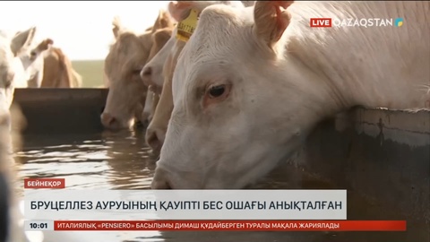 Ақтөбе облысында бруцеллездің қауіпті бес ошағы анықталған