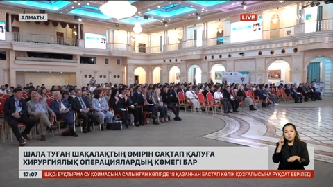 Елімізде шақалақтардың өмірін сақтап қалу 87% асты