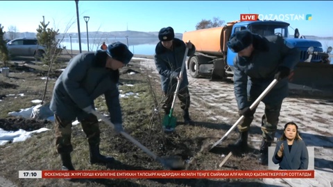 Көкшетауда 2 мың түп көшет екті