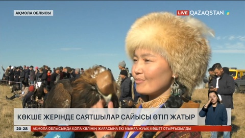 Ақмола облысында құсбегілердің халықаралық сайысы өтіп жатыр