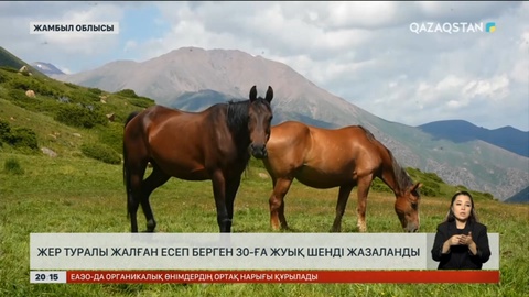 Жамбыл облысында жер туралы жалған есеп берген 30-ға жуық шенді жазаланды