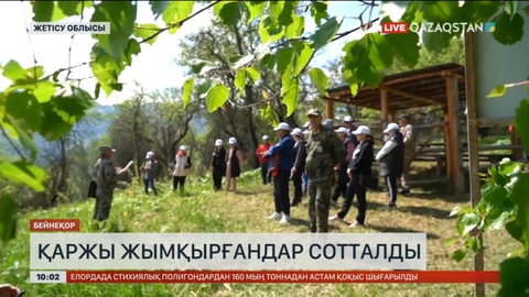 Жетісу облысында қаржы жымқырғандар сотталды