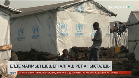 Германияда маймыл шешегі алғаш рет анықталды