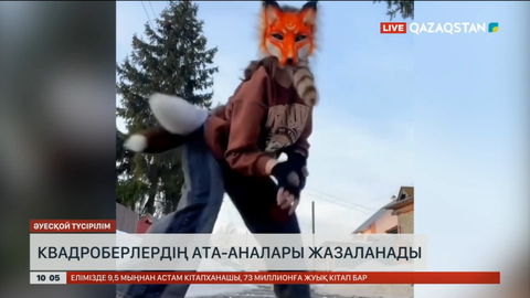 Ресейде квадроберлер субмәдениетін ұстанушы балалар көбейді