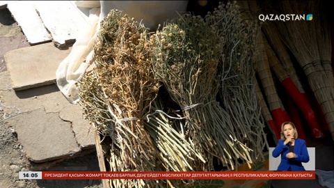 Ресейге адыраспан апарғандар қылмыстық жауапкершілікке тартылады