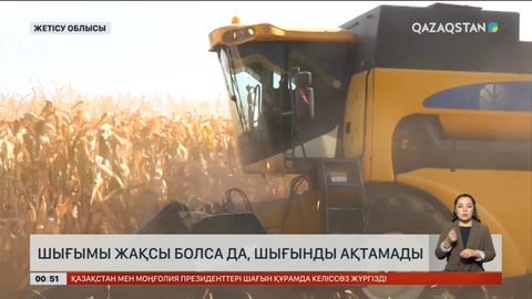 Жетісулық жүгері өсірушілер өңірде былтырғы жағдай тағы да қайталана ма деп алаңдаулы