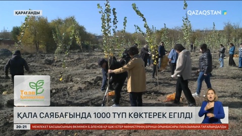 Қарағанды қаласында 1000 түп көктерек егілді
