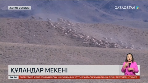 «Алтынемел» ұлттық табиғи паркінде құландар саны артып келеді