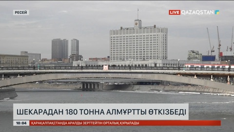 Шекарадан 180 тонна алмұртты өткізбеді