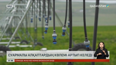 ШҚО-да суармалы алқаптардың көлемі артып келеді