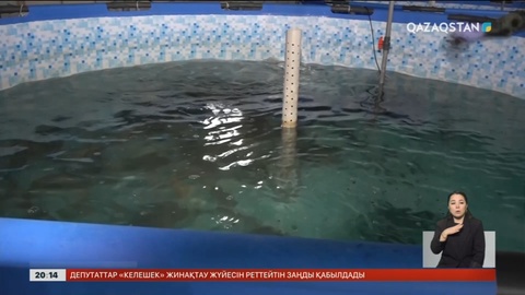 Балық шаруашылығын дамыту үшін 120 млн теңге бөлінбек