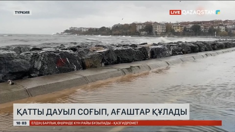 Түркияда қатты дауылдан ағаштар да құлады