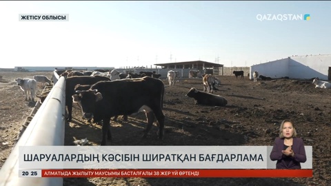 Жетісу облысында «Агробизнес» және «Кең дала-2» бағдарламалары шаруалардың кәсібін ширатып отыр