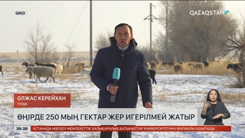 Шығыс Қазақстанда 250 мың гектар жер игерілмей жатыр