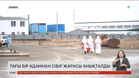 Атырауда тағы бір қасапхана жұмысшысынан сібір жарасы анықталды