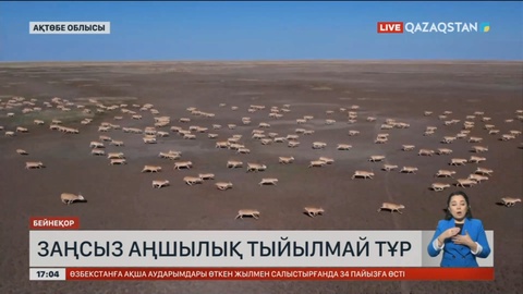 Ақтөбеде заңсыз аңшылық тыйылмай тұр