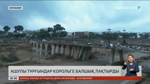 Испанияның ашулы тұрғындары корольге балшық лақтырды