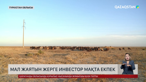 Отырар ауданында мал жаятын жерге инвестор мақта екпек