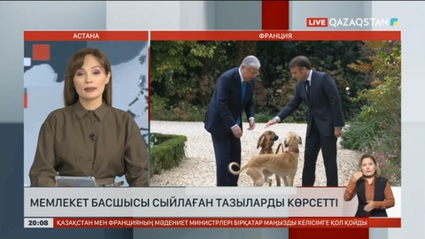 Франция Президенті Эмманюэль Макрон Қасым-Жомарт Тоқаевқа өзі сыйлаған қазақ тазыларын көрсетті