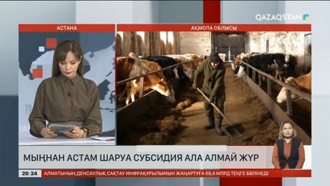 Ақмола облысында мыңнан астам шаруа субсидия ала алмай жүр