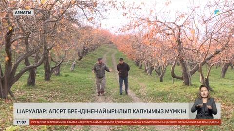 Атақты апорт брендінен айырылып қалуымыз мүмкін