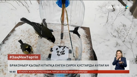 Қызыл кітапқа енген құсты аулаған браконьер ұсталды