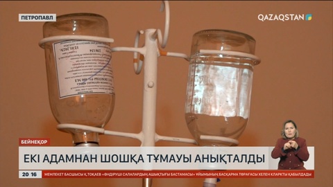 ﻿Петропавлда екі адамнан шошқа тұмауы анықталды