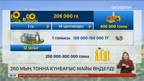 Шығыс Қазақстанда биыл әр гектардан 14-19 центнерден күнбағыс жиналды