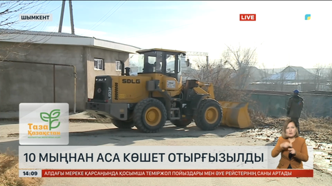 Шымкентте биыл 10 мыңнан аса көшет егілген