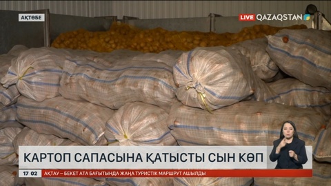 Ақтөбе облысы көкөністерін қысқа дайындап қойды