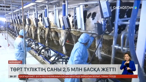 Биыл Жетісуға 2 миллионнан астам турист келді