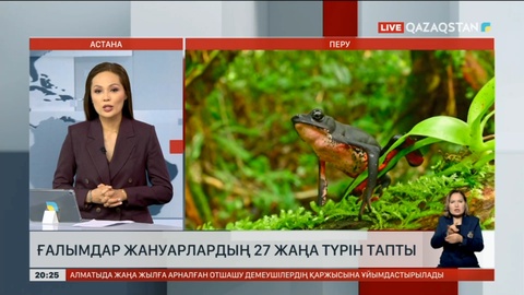 Ғалымдар жануарлардың 27 жаңа түрін тапты