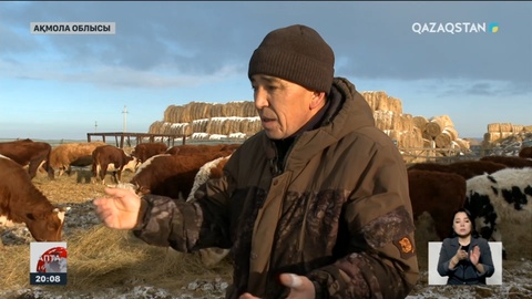 Мемлекет фермерлерге 359,1 млрд теңге қарыз