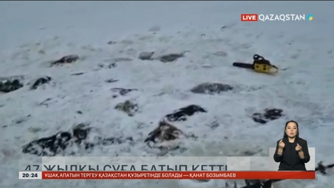 Қарағанды облысында 47 жылқы суға батып кетті