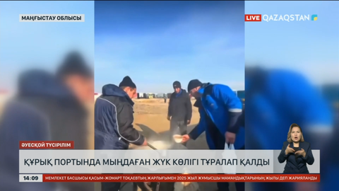 Маңғыстау облысындағы Құрық портында мыңдаған жүк көлігі жиналып қалды